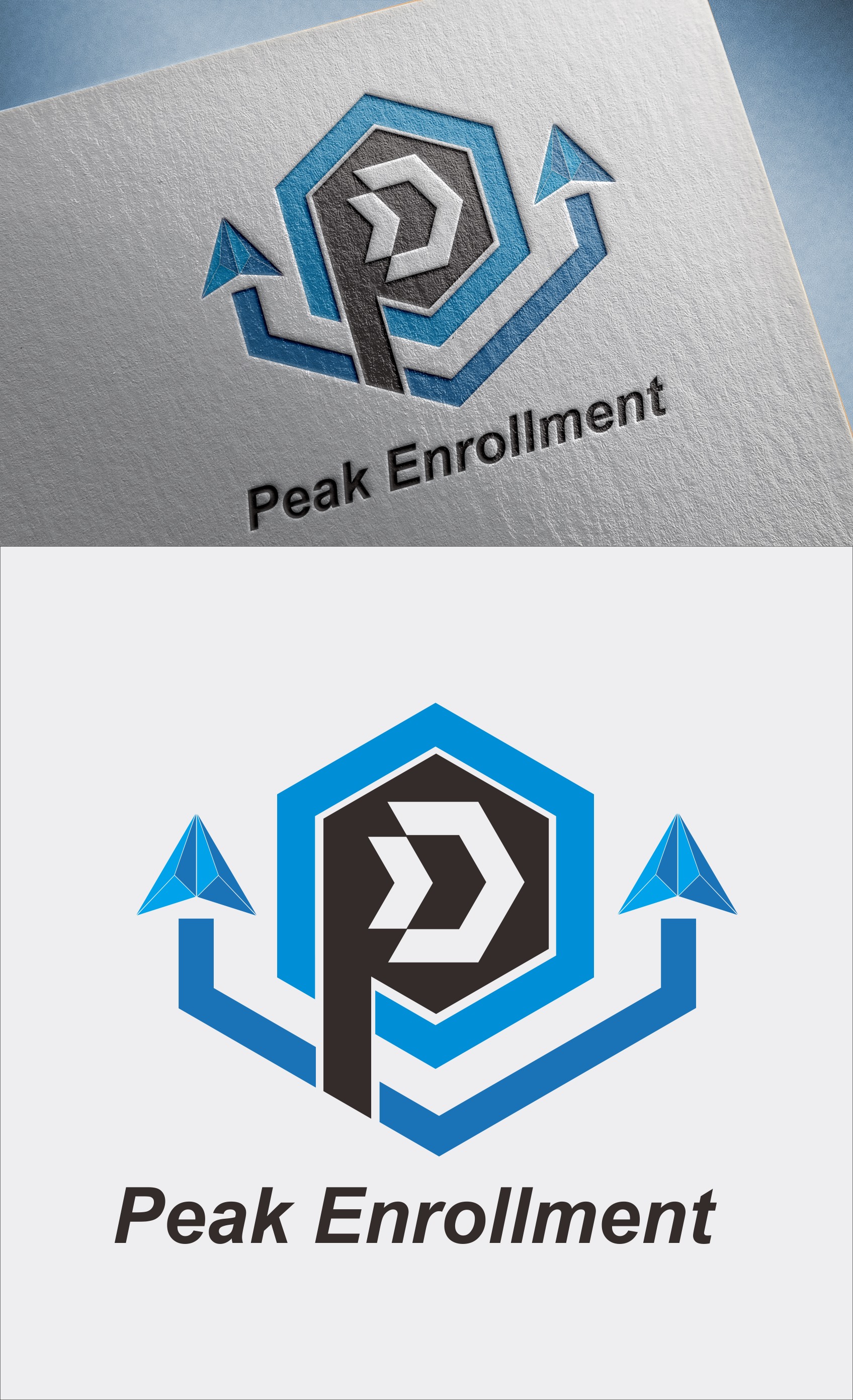 Logo Design by Harta Ilustrator for Zasady / Peak Enrollment | Design #25916350
