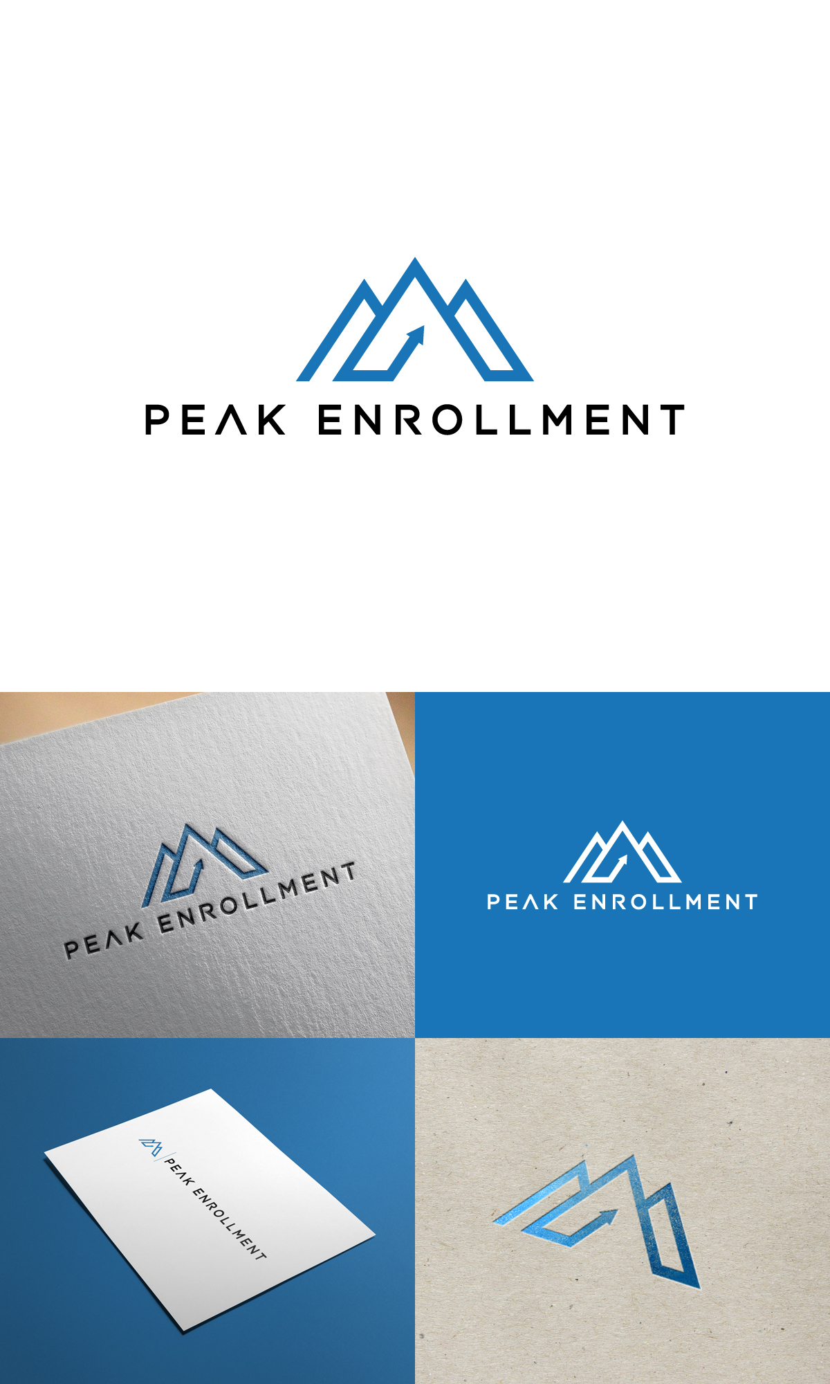 Logo Design by NineOwl for Zasady / Peak Enrollment | Design #25916296