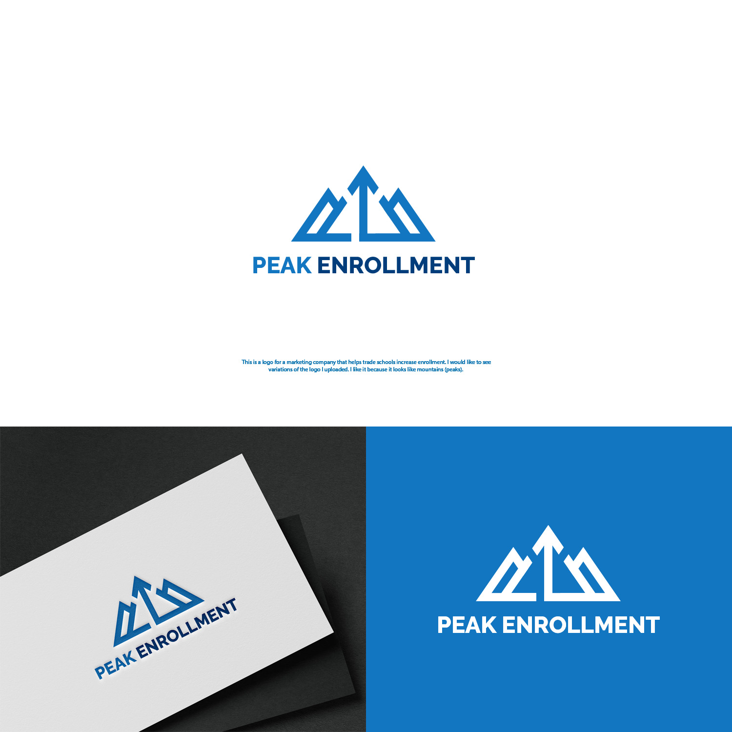 Logo Design by nzdesigners for Zasady / Peak Enrollment | Design #25920277