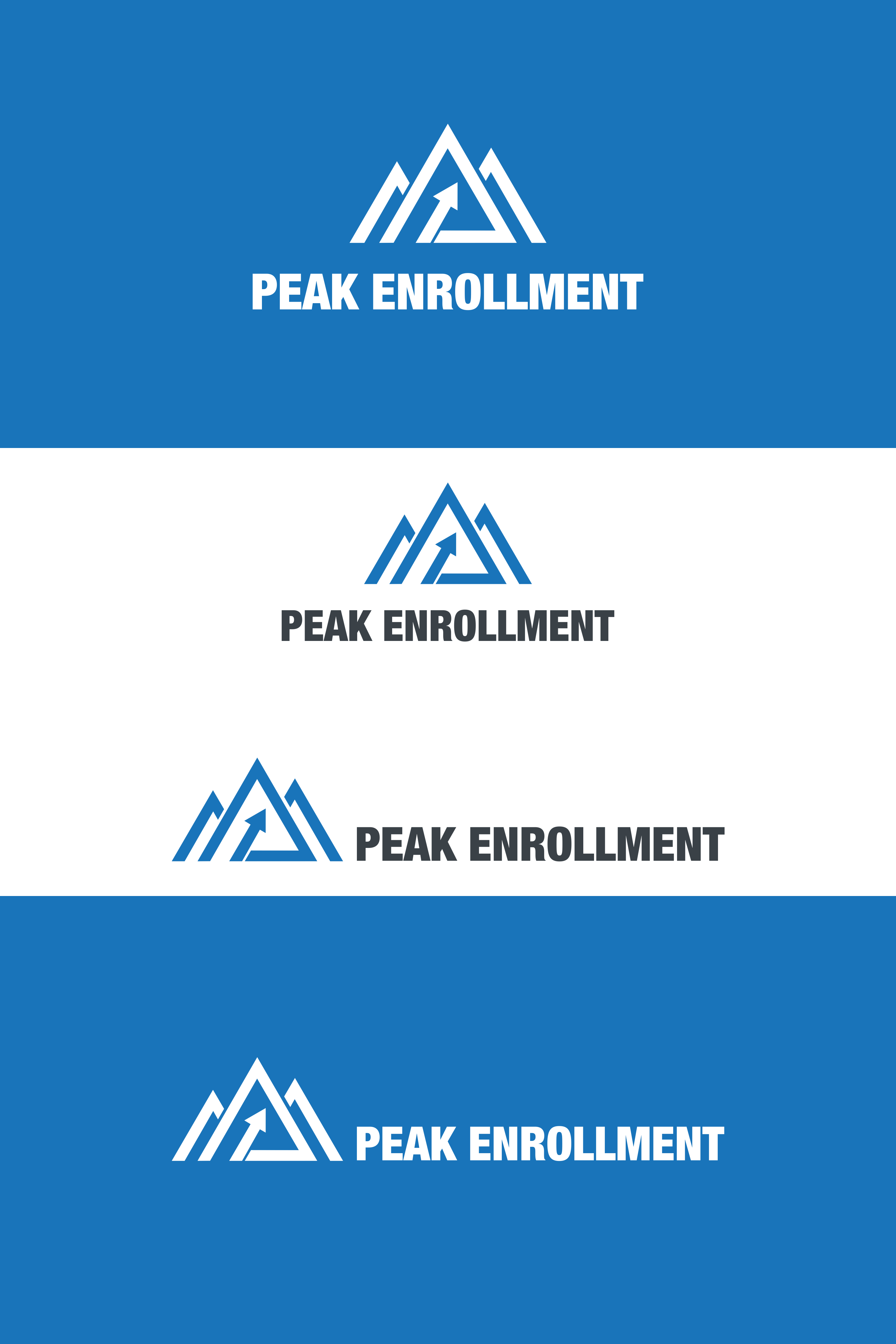 Logo Design by Nadz10 for Zasady / Peak Enrollment | Design #25915921