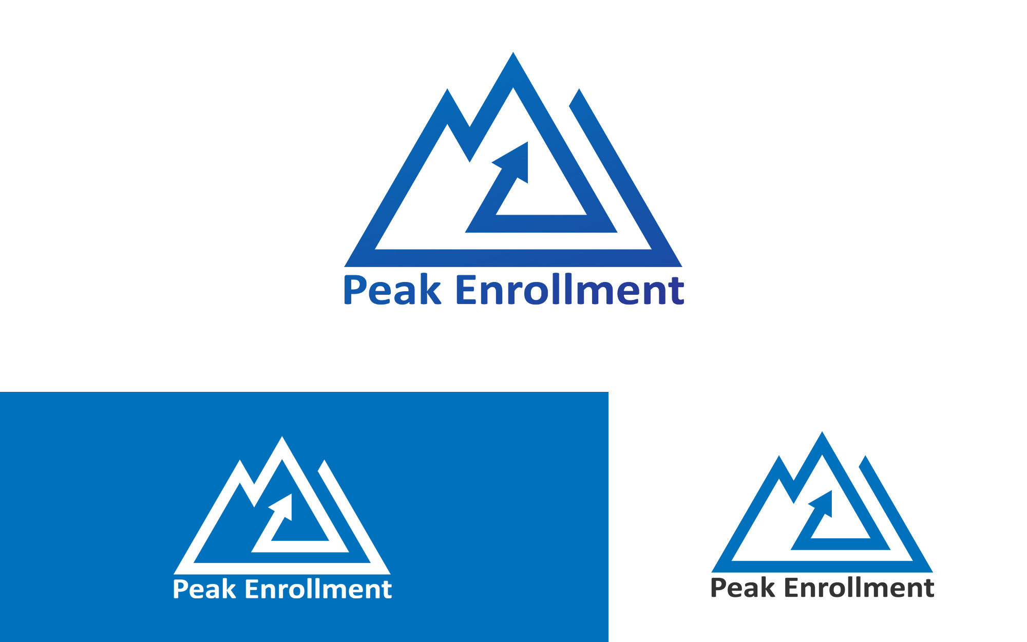 Logo Design by BlackWolf creations for Zasady / Peak Enrollment | Design #25915802