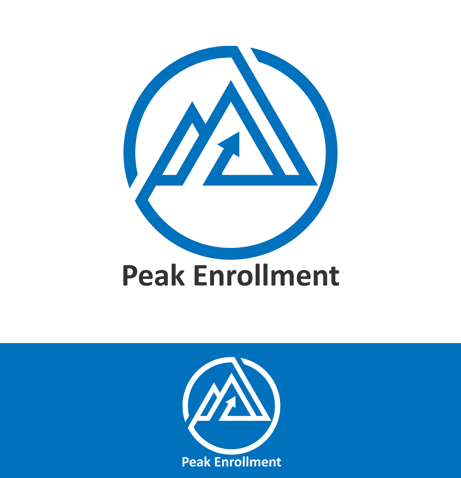Logo Design by BlackWolf creations for Zasady / Peak Enrollment | Design #25916007