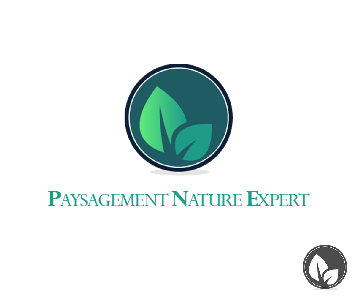 Design de Logo par rednared pour ce projet | Design #3041624
