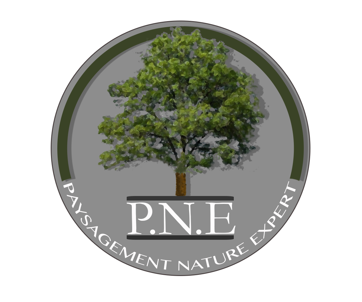 Logo Design by CameronH for this project | Design #3032423