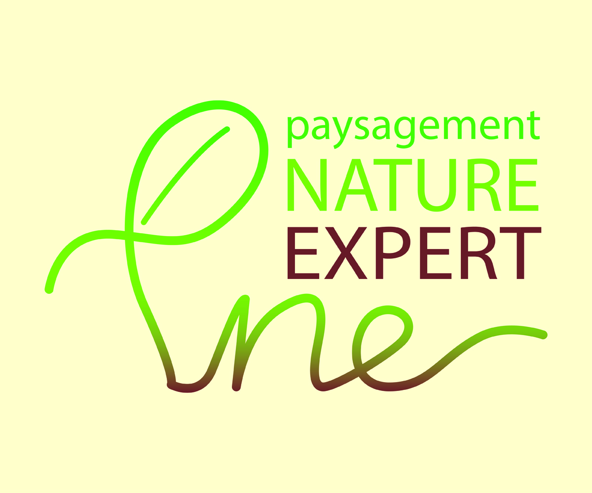 Logo Design by  Billy Jr. for this project | Design #3033579