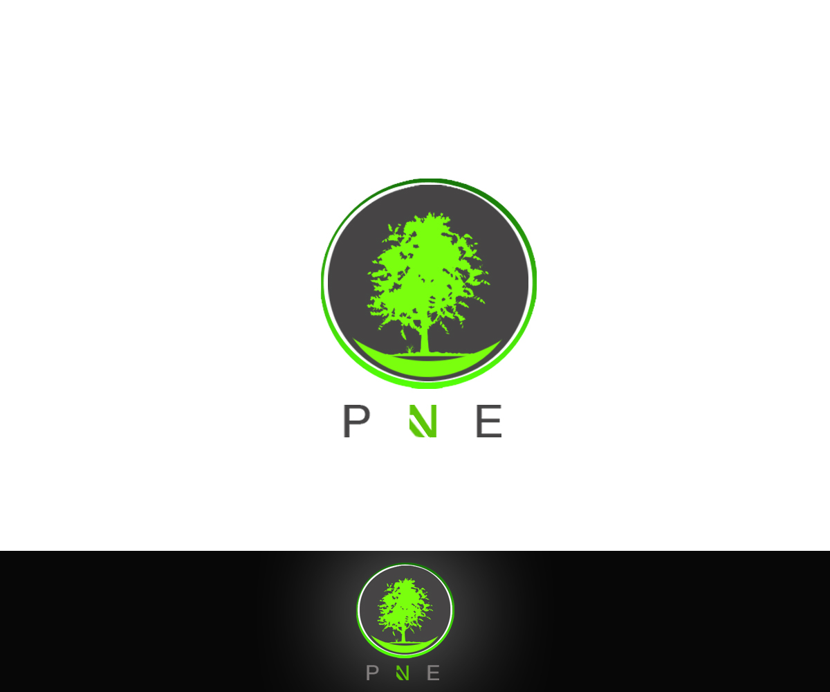 Logo Design by Leica Alexandru for this project | Design #3050828