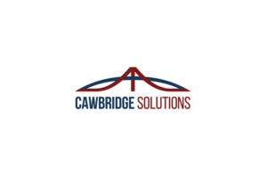 Logo Design by ivo_i_ivanov for CAWbridge Solutions | Design: #25926793