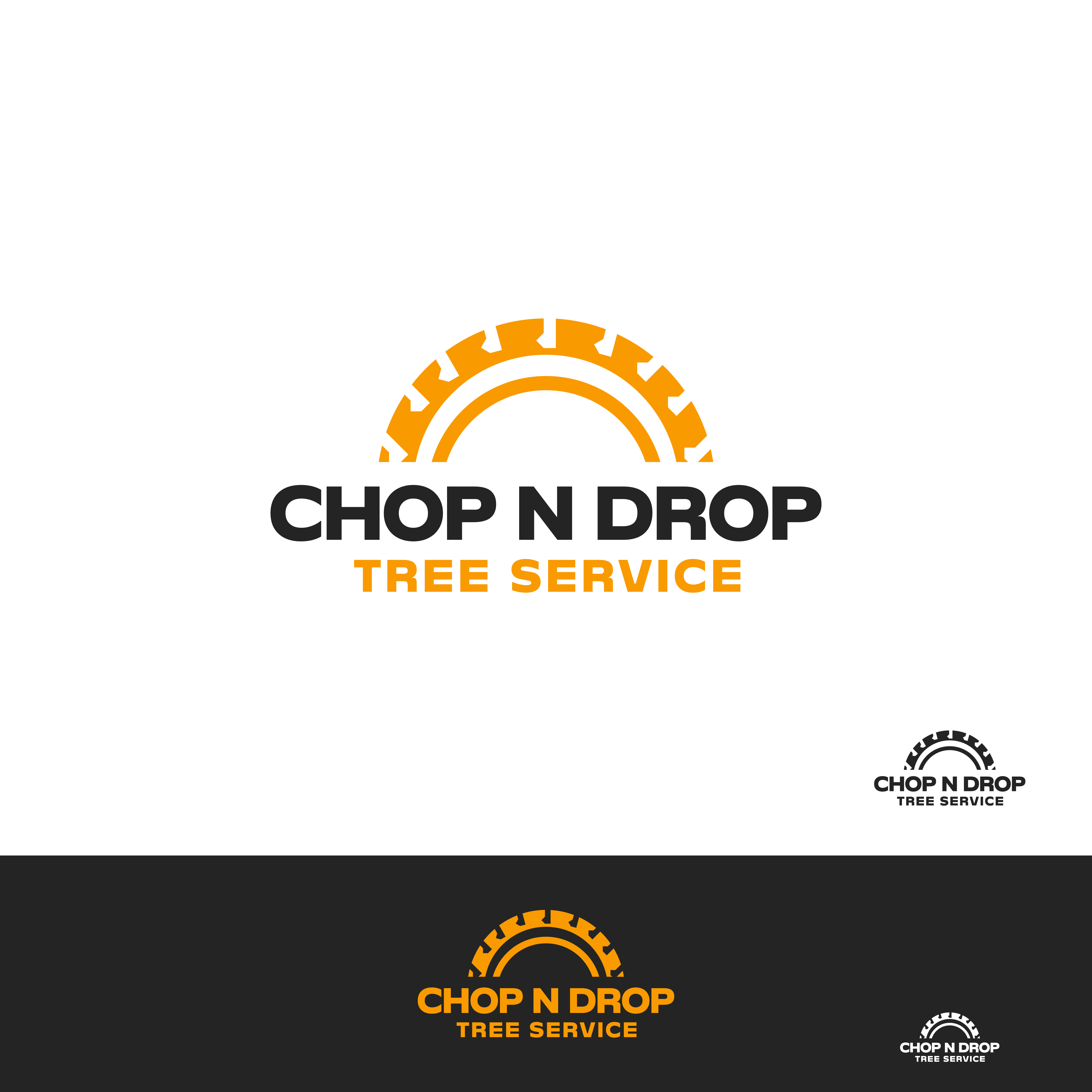 Logo Design by emmanuel 23 for this project | Design #25934344