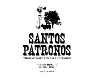 Logo-Design von Andrés Sebastián für dieses Projekt | Design #25955446