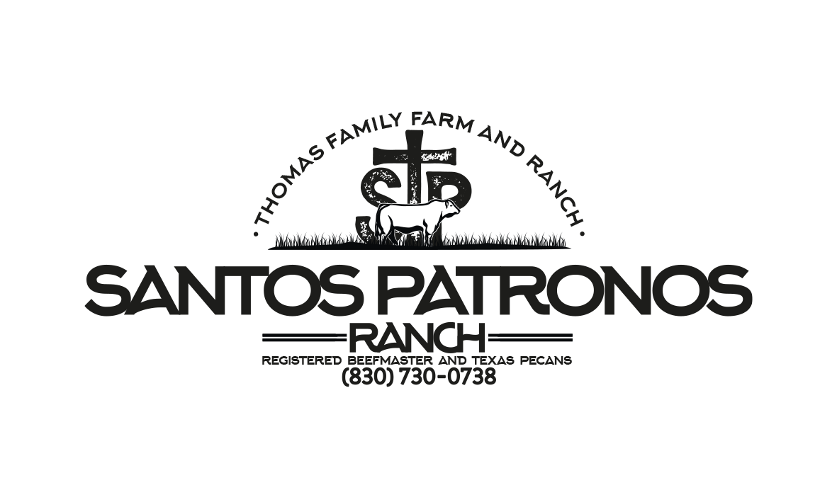 Logo Design by patriciaparadesign for this project | Design #25958004