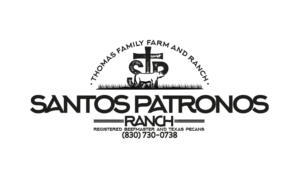 Design de Logo par patriciaparadesign pour ce projet | Design : #25958004