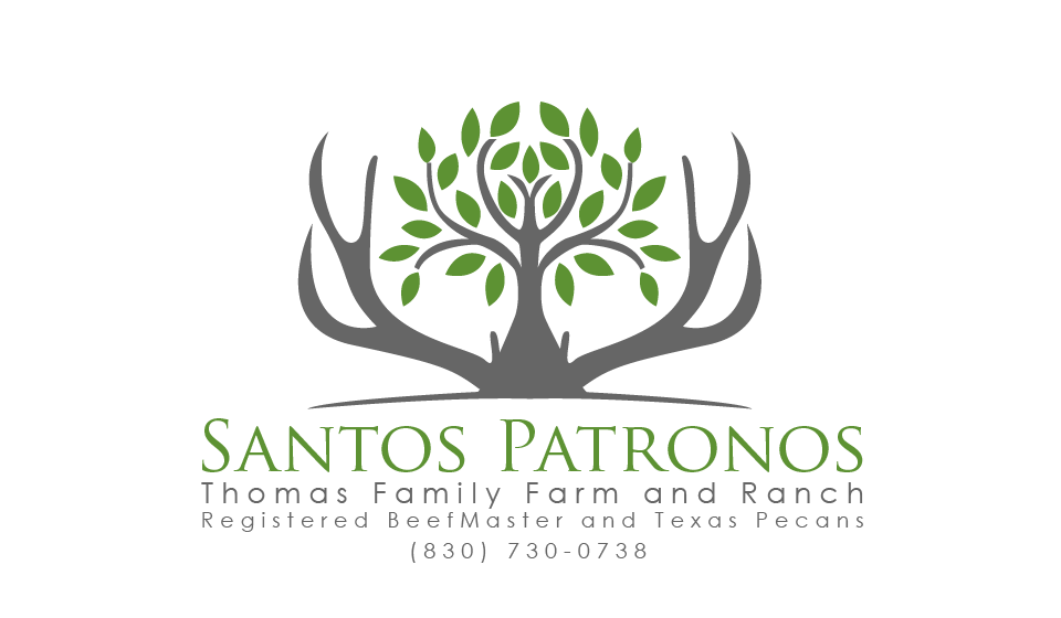 Logo Design by LhycaEnzo for this project | Design #25926731