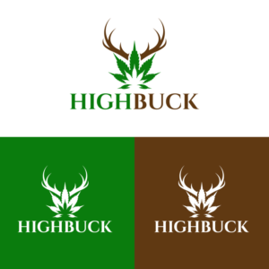 HighBuck | Logo Design by Graphic Bricks