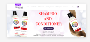 Web Design by lemosys infotech for Nicole Washington | Design #25937896