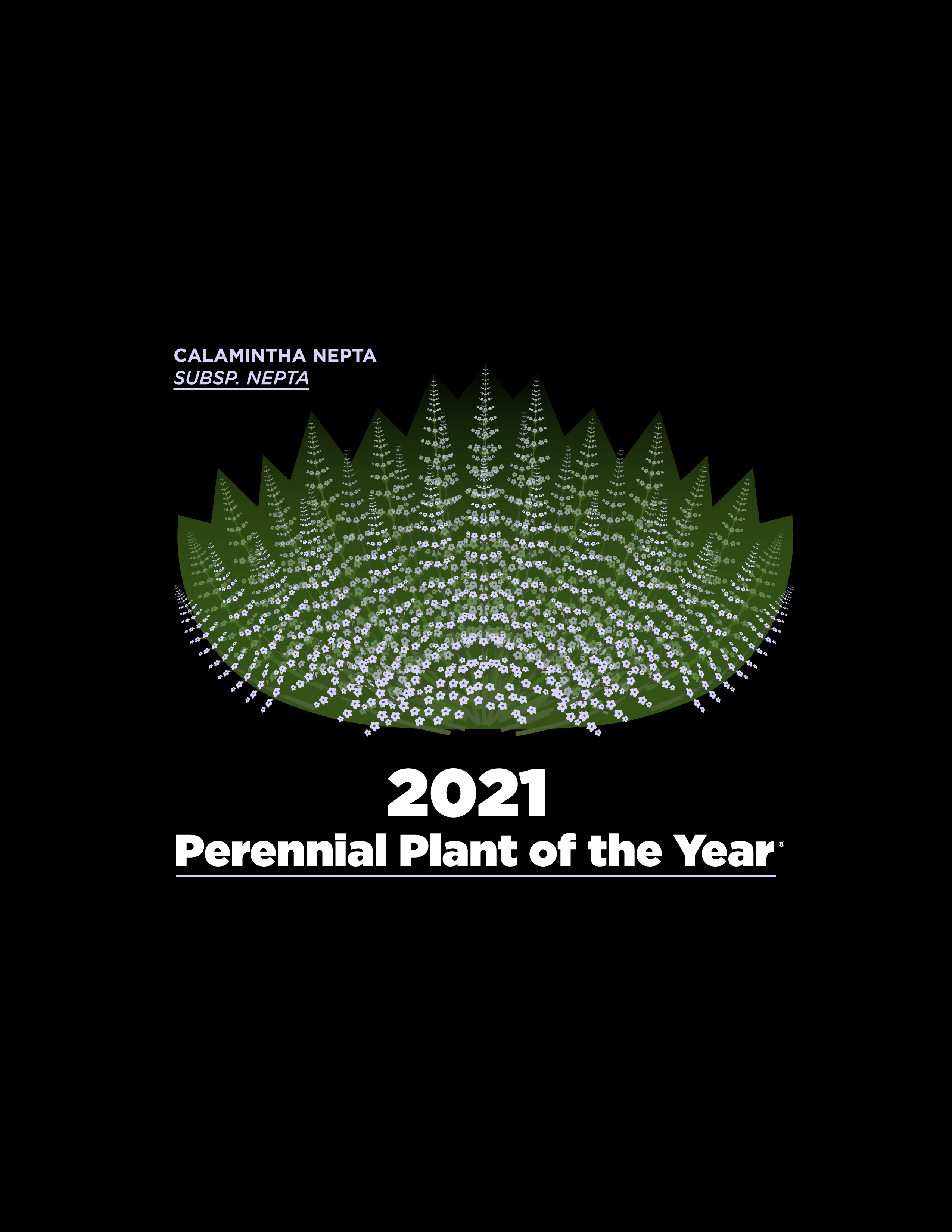 T-shirt Design by JLAGO for Perennial Plant Association | Design #25969572