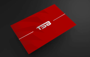 Logo Design by PENBRAIN™ for this project | Design: #25970591
