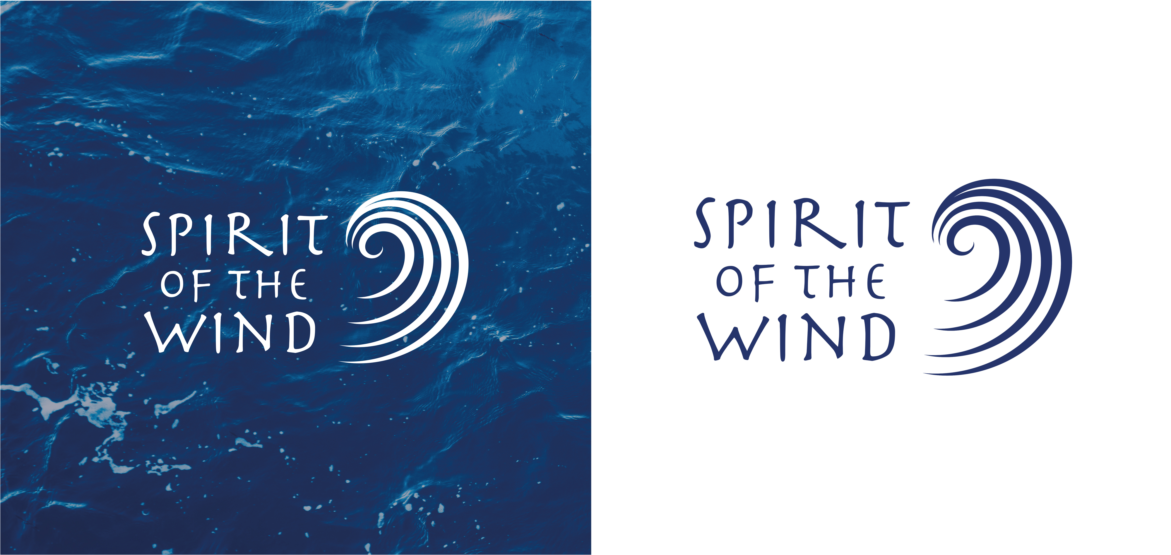 Logo Design by Elizaveta M for this project | Design #25939227