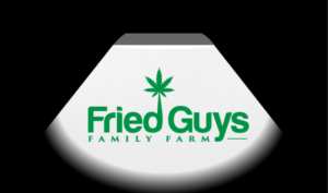 Logo Design by FireflyArt
