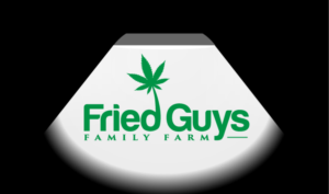 Logo Design by FireflyArt for PMPCO, LLC | Design: #25970121