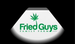 Logo Design by FireflyArt for PMPCO, LLC | Design: #25970122
