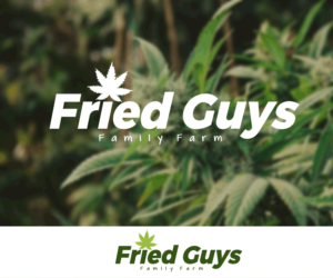 Fried Guys Family Farm | Logo Design by TRHZ