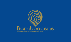 Logo Design by patriciaparadesign for Freelance | Design: #25997366
