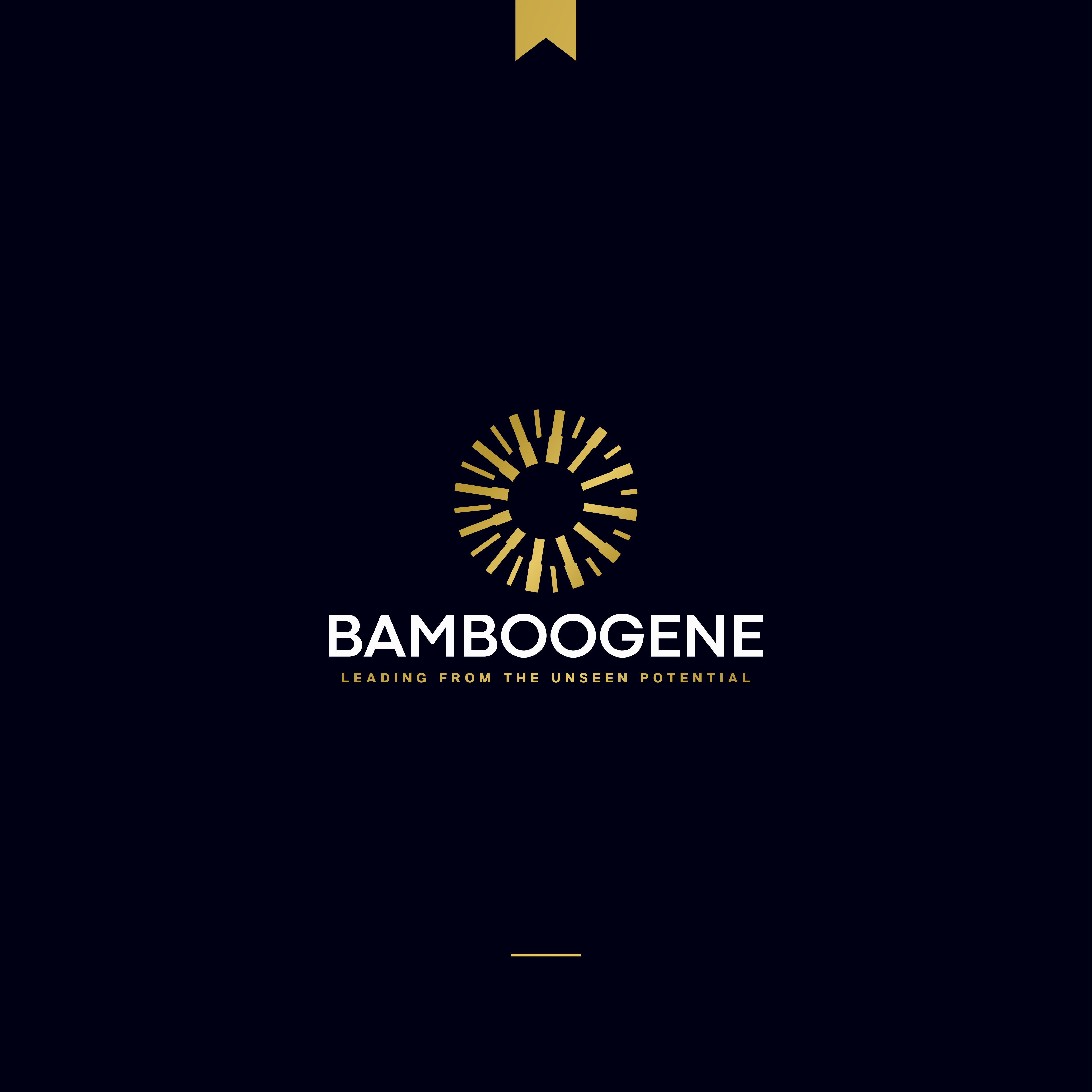Logo Design by JBalloon Design for Freelance | Design #25996097