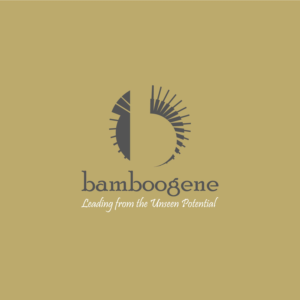 Logo Design by y2
