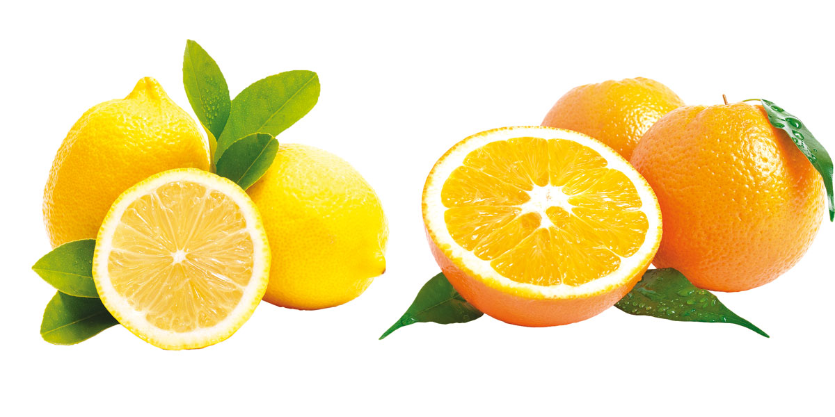 Label Design by 88 creaction for Culinary Woodcraft | Design #3289317