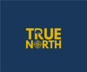 TRUE NORTH | Logo Design by Logocraft