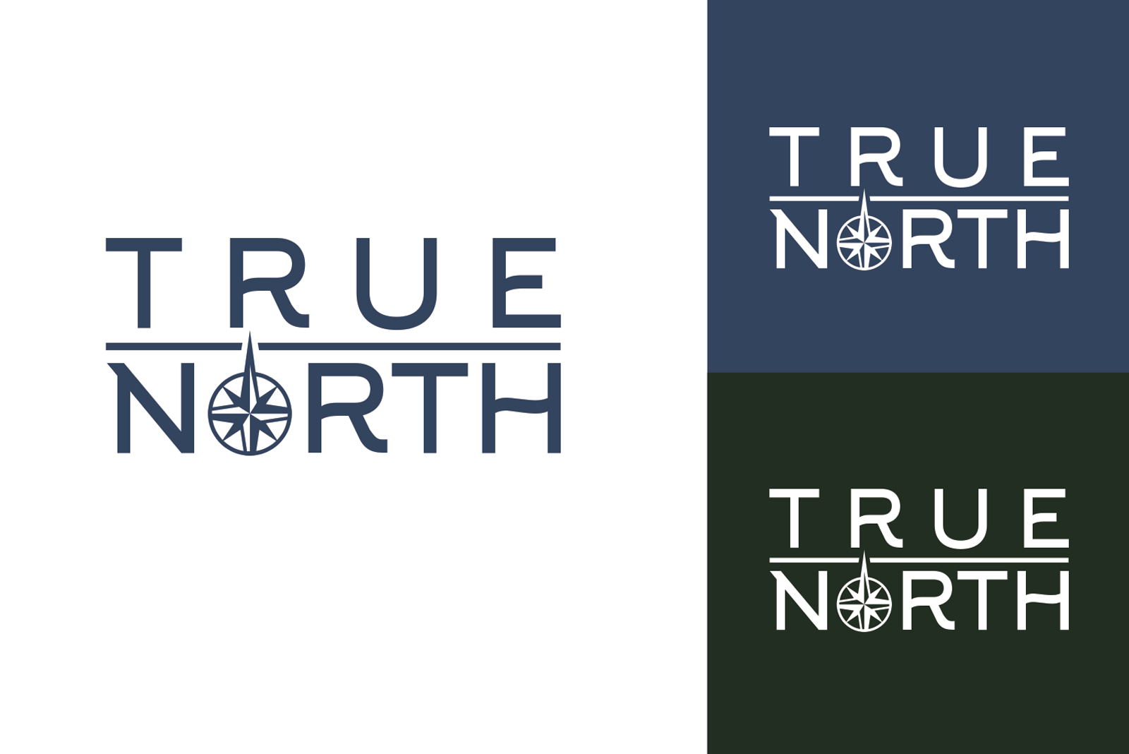 Logo Design by ivo_i_ivanov for this project | Design #25969378