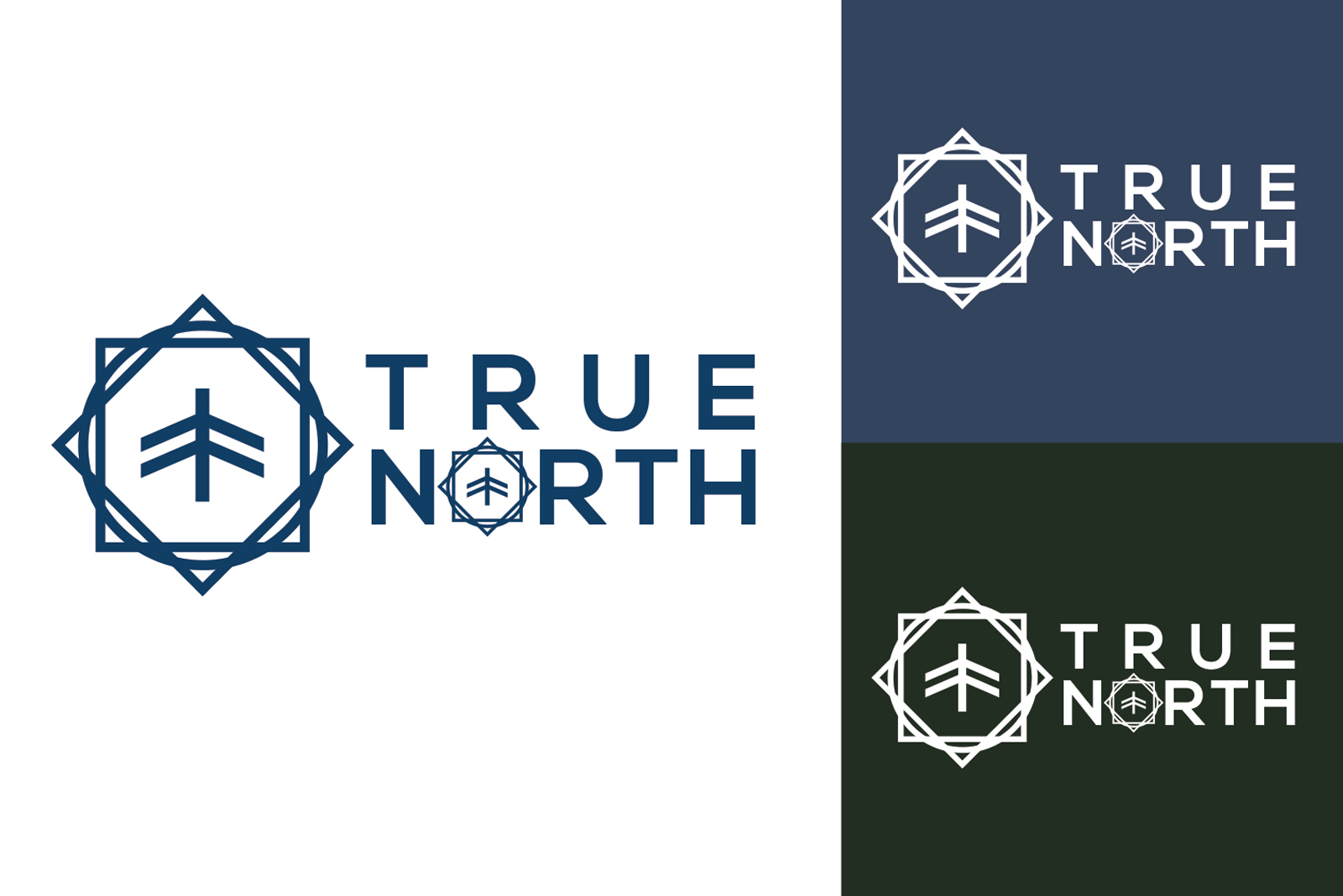 Logo Design by ivo_i_ivanov for this project | Design #25969402