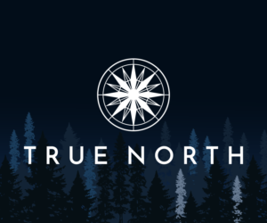 TRUE NORTH | Logo Design by Ana 15