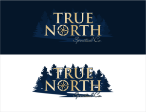 TRUE NORTH | Logo Design by BNdesigner