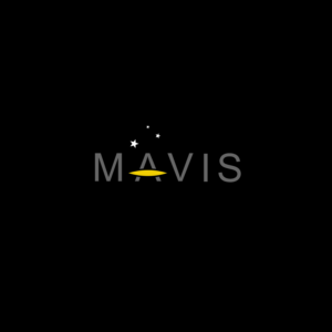 Logo Design by Ameeee
