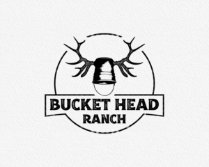 Logo Design by ACK Design