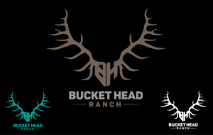 Diseño de Logo por got2believe para este proyecto | Diseño: #25968975