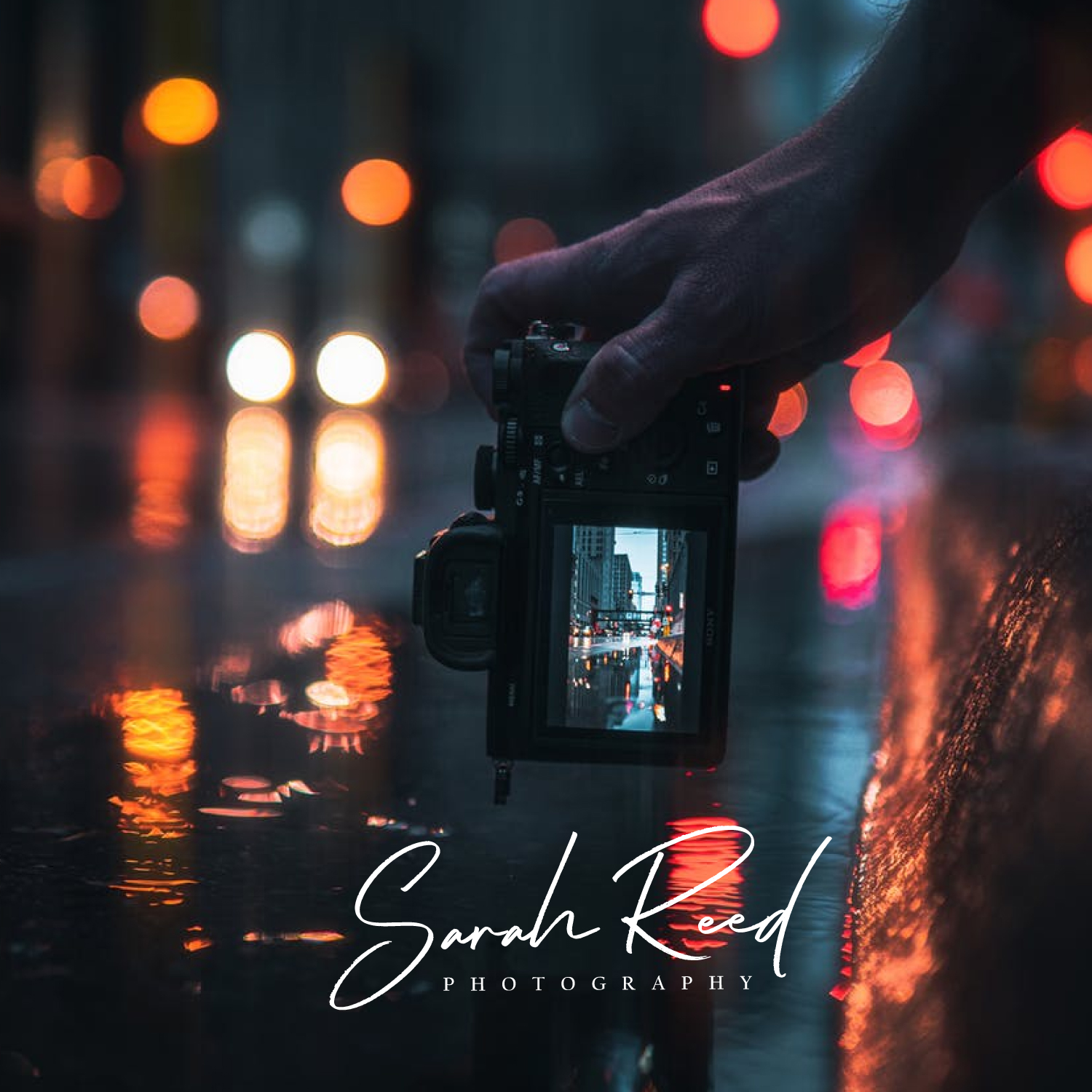 Logo Design by BOLBOL 2 for Sarah Reed Photography | Design #25993437