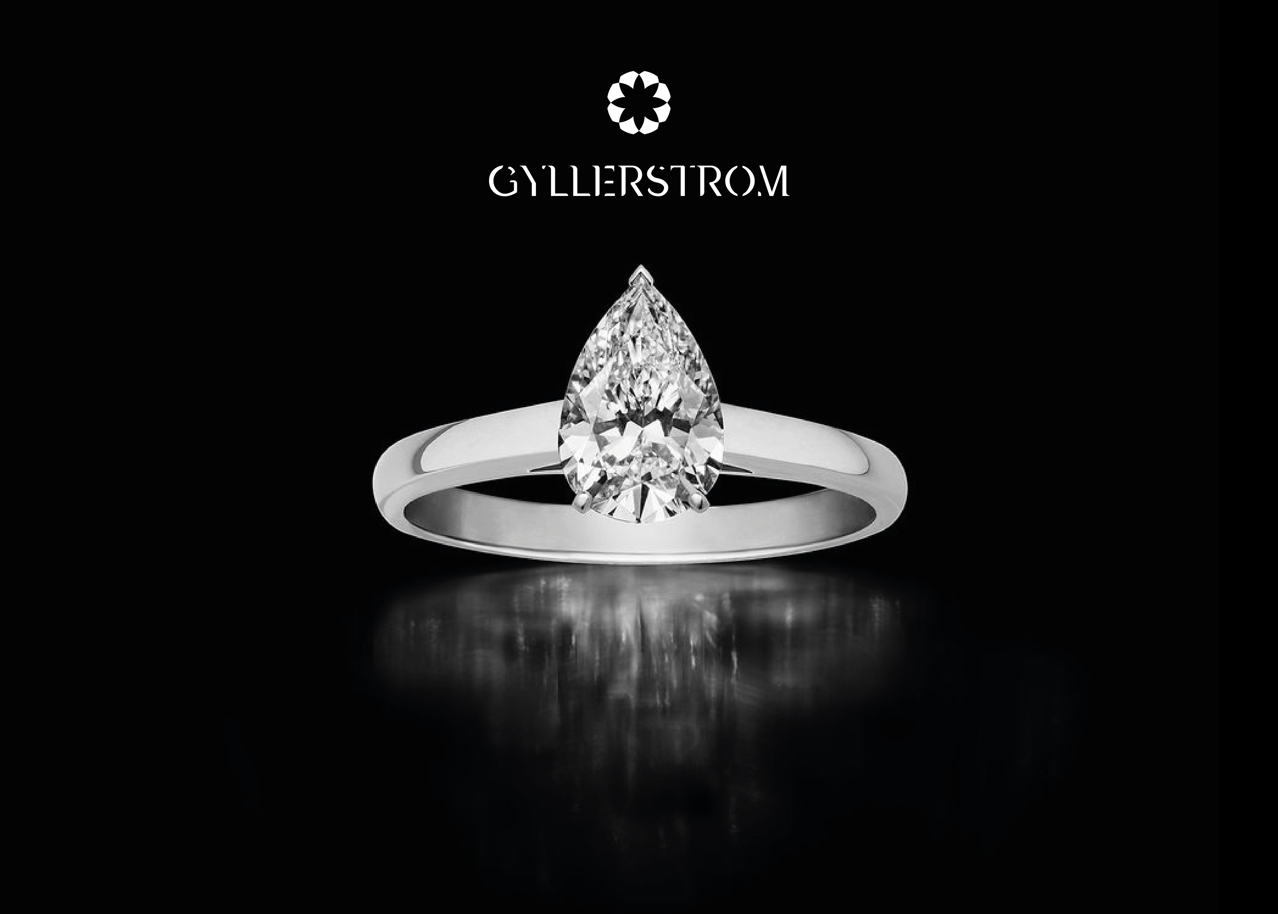 Logo Design by Dejan Gmizovic for this project | Design #25998221