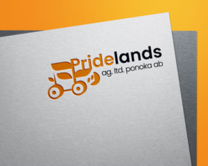 Logo Design by Shashka designs