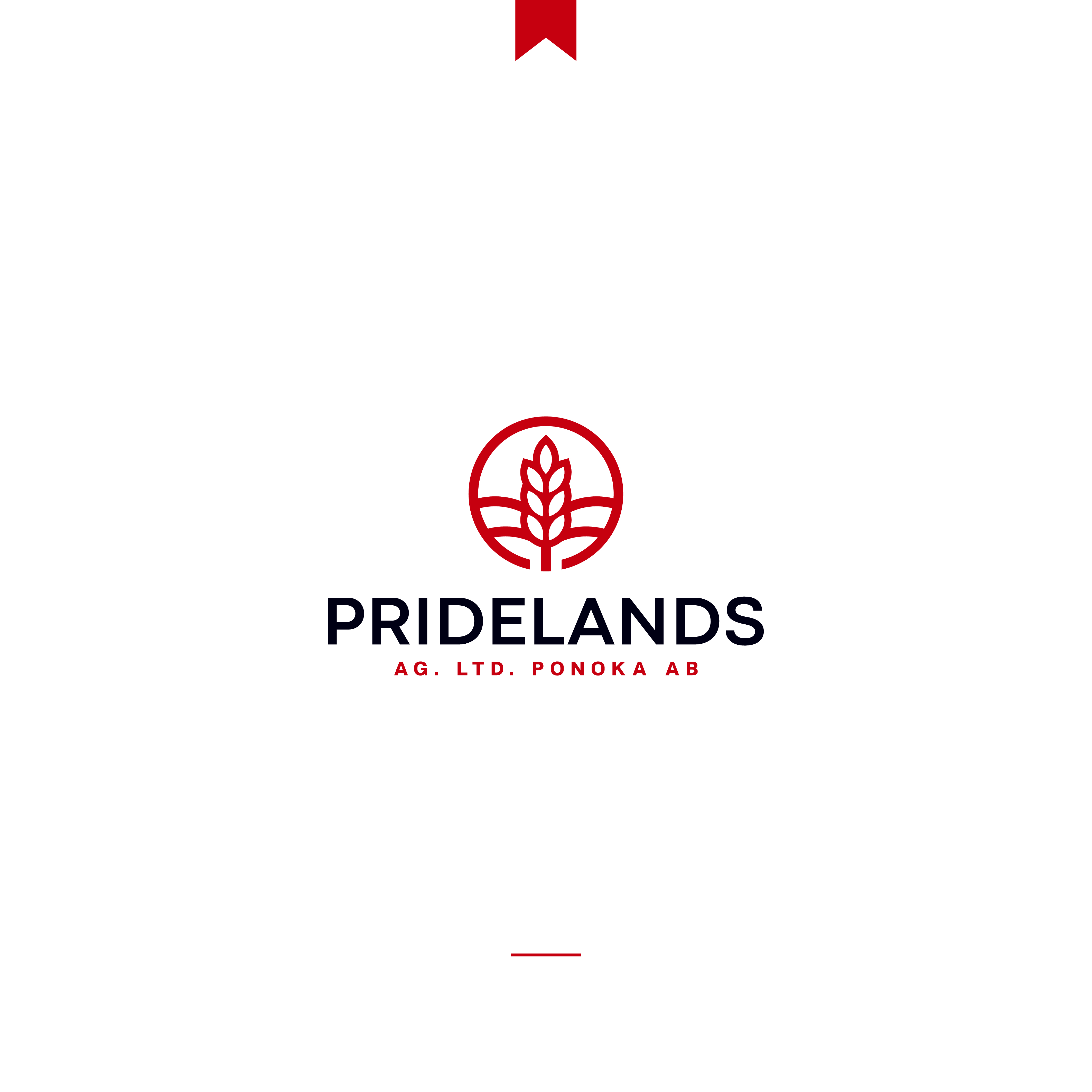 Logo Design by JBalloon Design for this project | Design #25996098