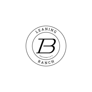 Diseño de Logo por WahyuHMD para este proyecto | Diseño: #25996370