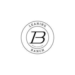 Diseño de Logo por WahyuHMD para este proyecto | Diseño: #25996371