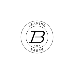 Diseño de Logo por WahyuHMD para este proyecto | Diseño: #25996372