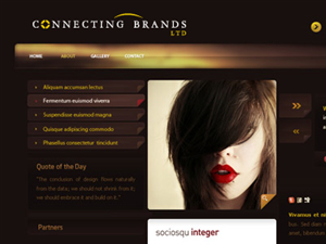 Logo Design by Stephanie Soon for Connecting Brands Lt | Design: #65146