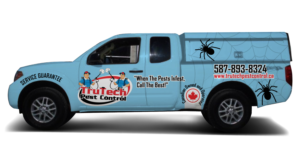 Car Wrap-Design von JS_Design für dieses Projekt | Design: #25997095
