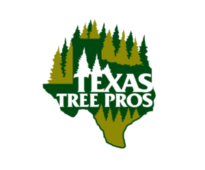 Texas Tree Pros | Logo Design by blue eye