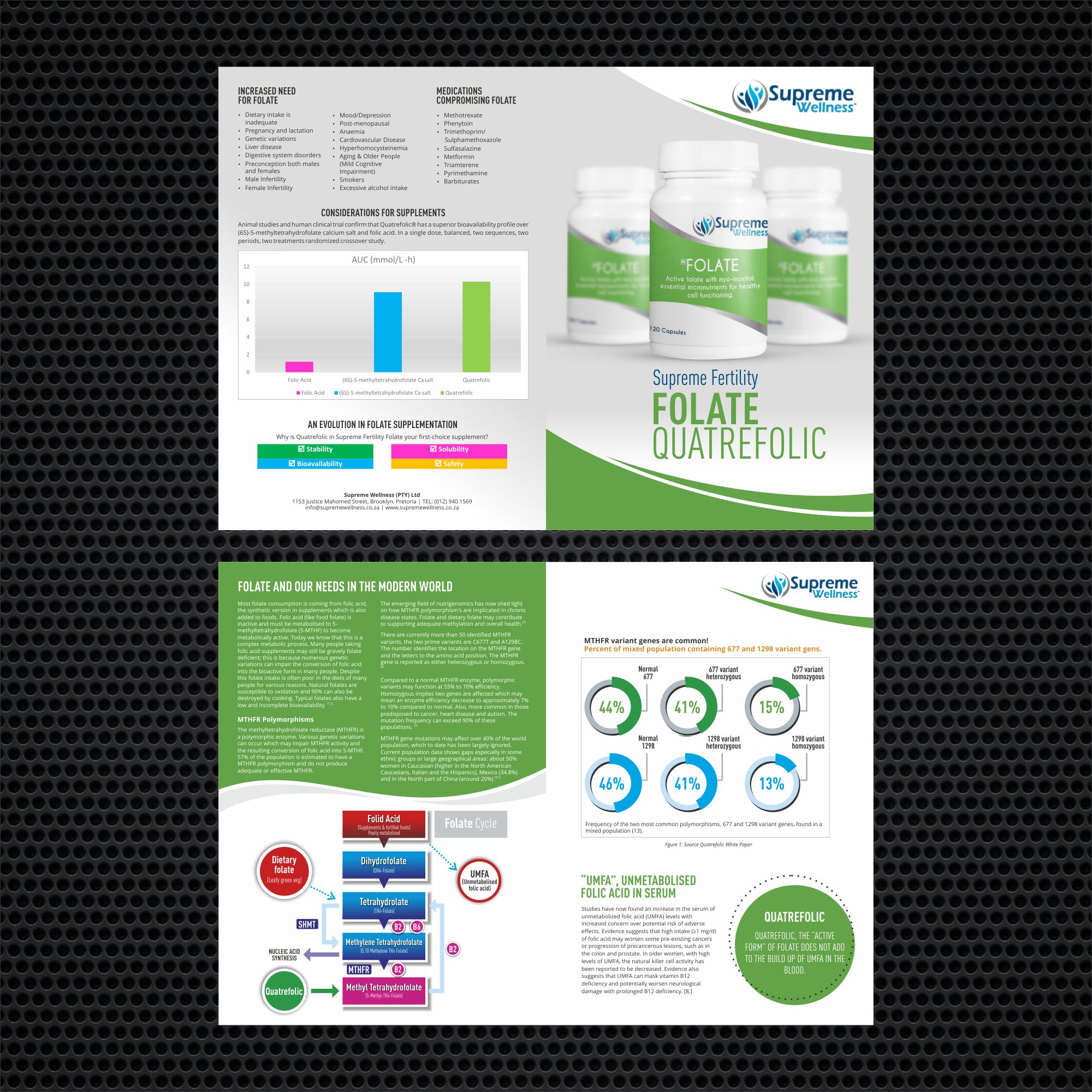 Flyer Design by nng for DL Langley | Design #25997336
