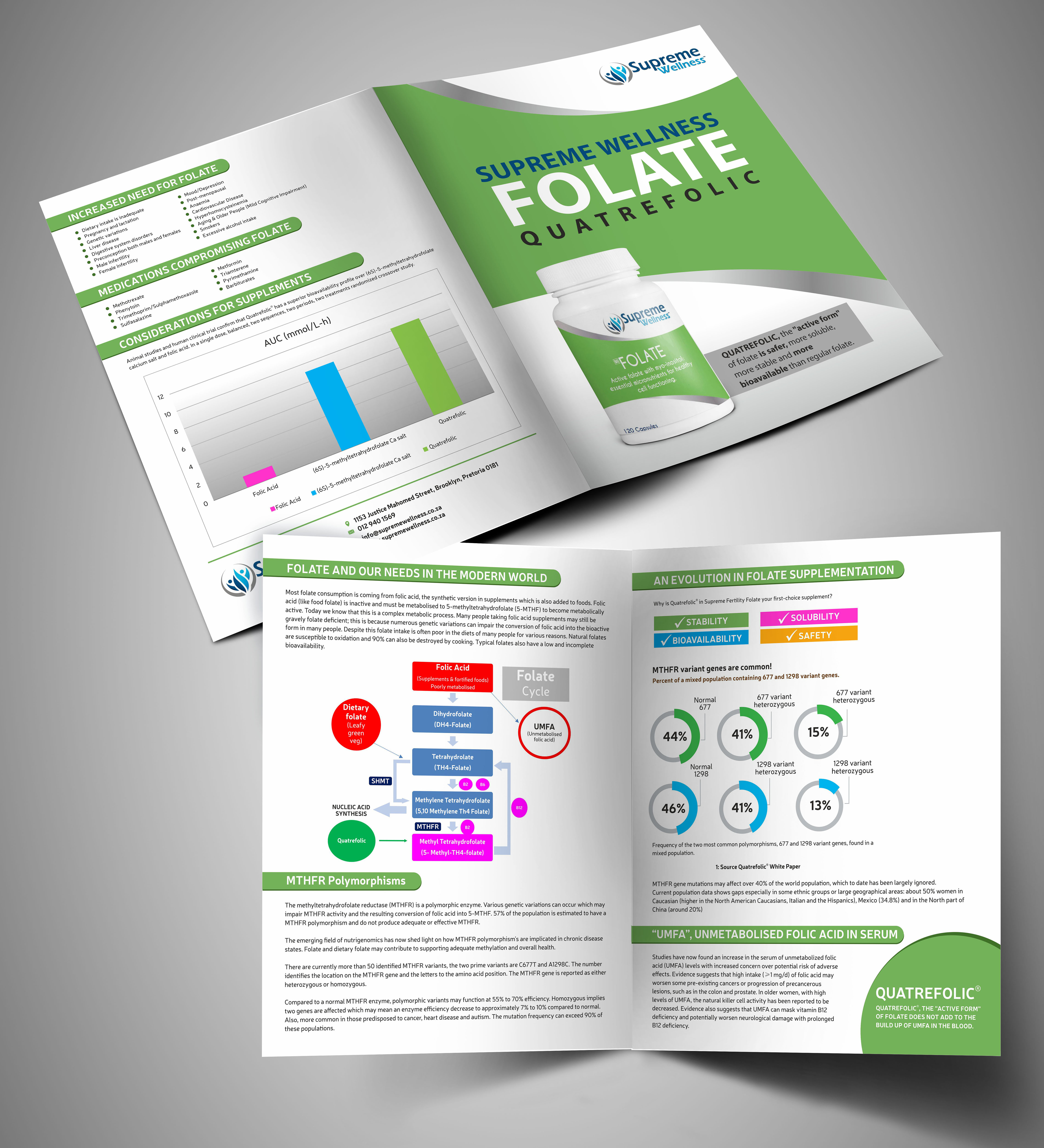 Flyer-Design von Fine Graphics House für DL Langley | Design #25989471
