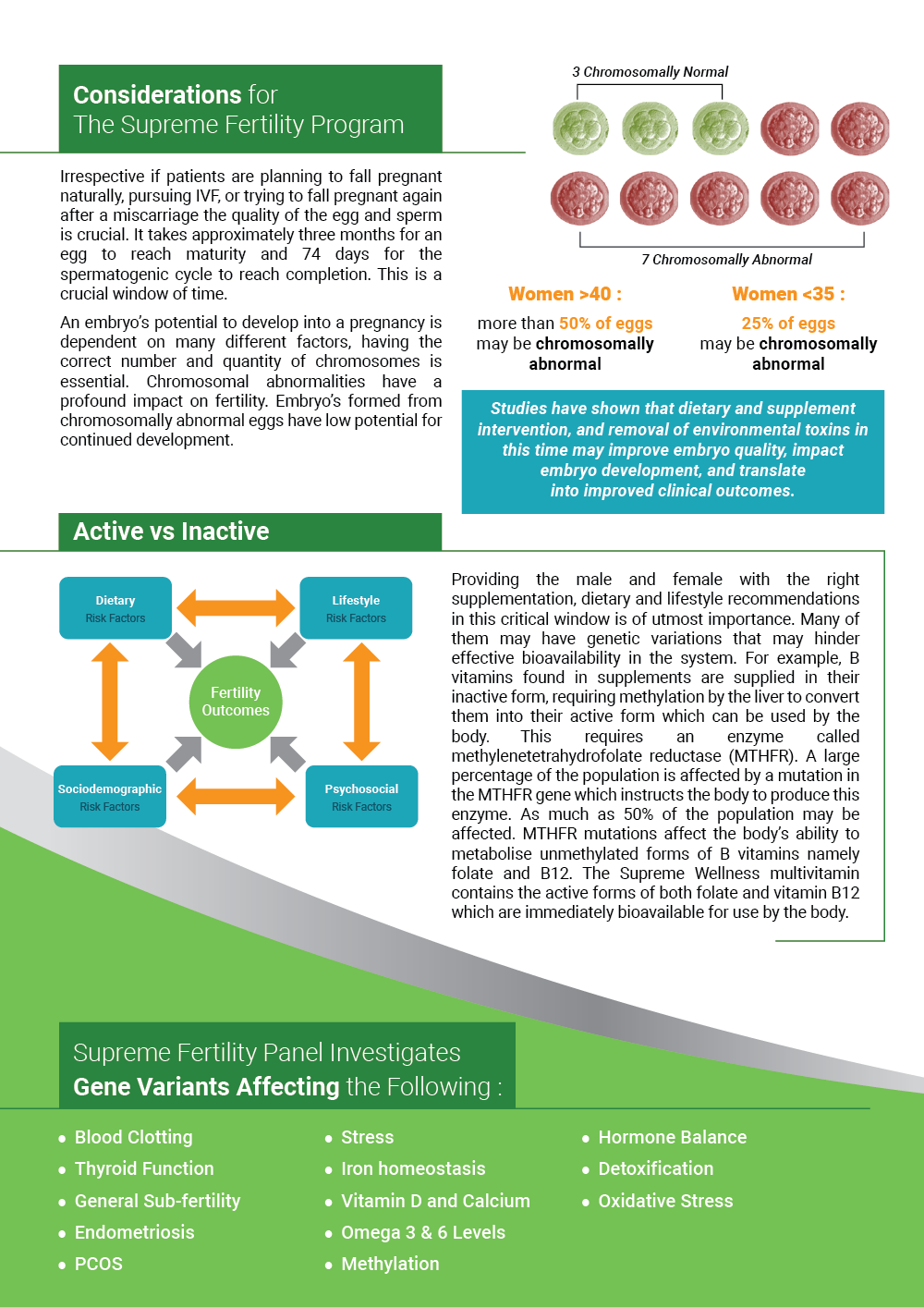 Flyer Design by Akshar Shailesh for DL Langley | Design #26051221